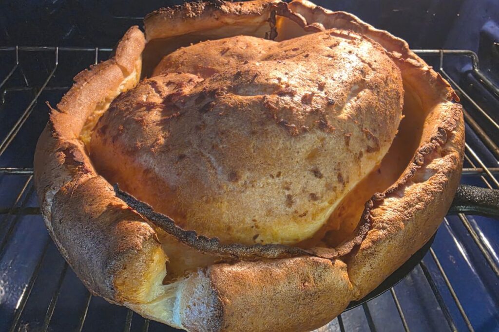 fresh milled dutch baby pancake