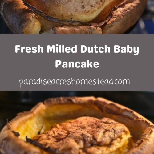 fresh milled dutch baby pinterest image