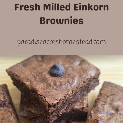 fresh milled einkorn brownies