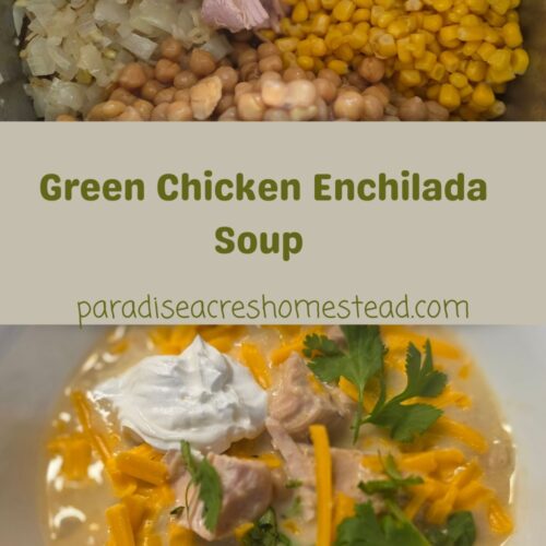 Green Chicken Enchilada Soup