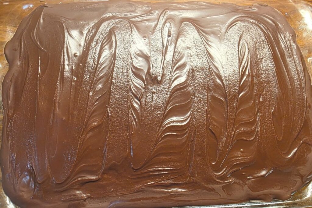 Chocolate Mint Cake with chocolate mint topping