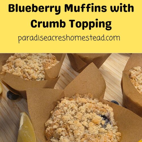FMF lemon blueberry muffins