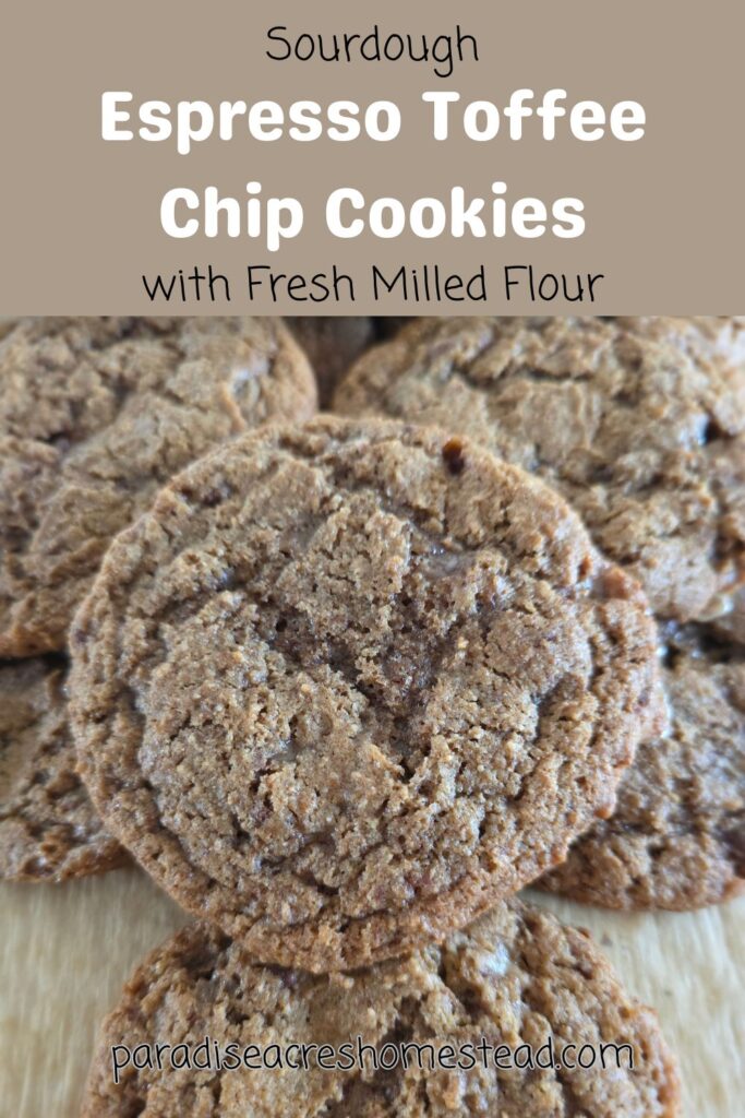 espresso toffee chip cookies pin