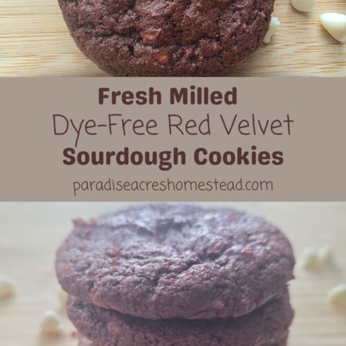 red velvet sourdough cookies
