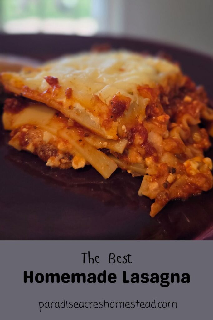 the best lasagna pin
