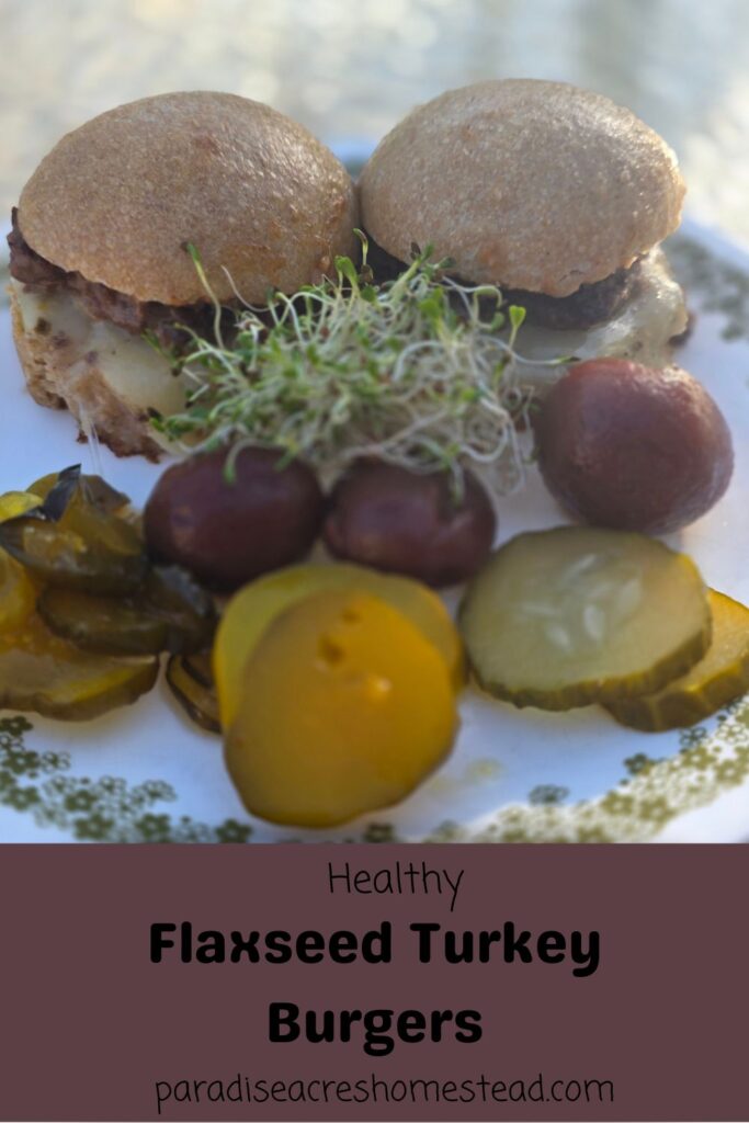 turkey burgers pin