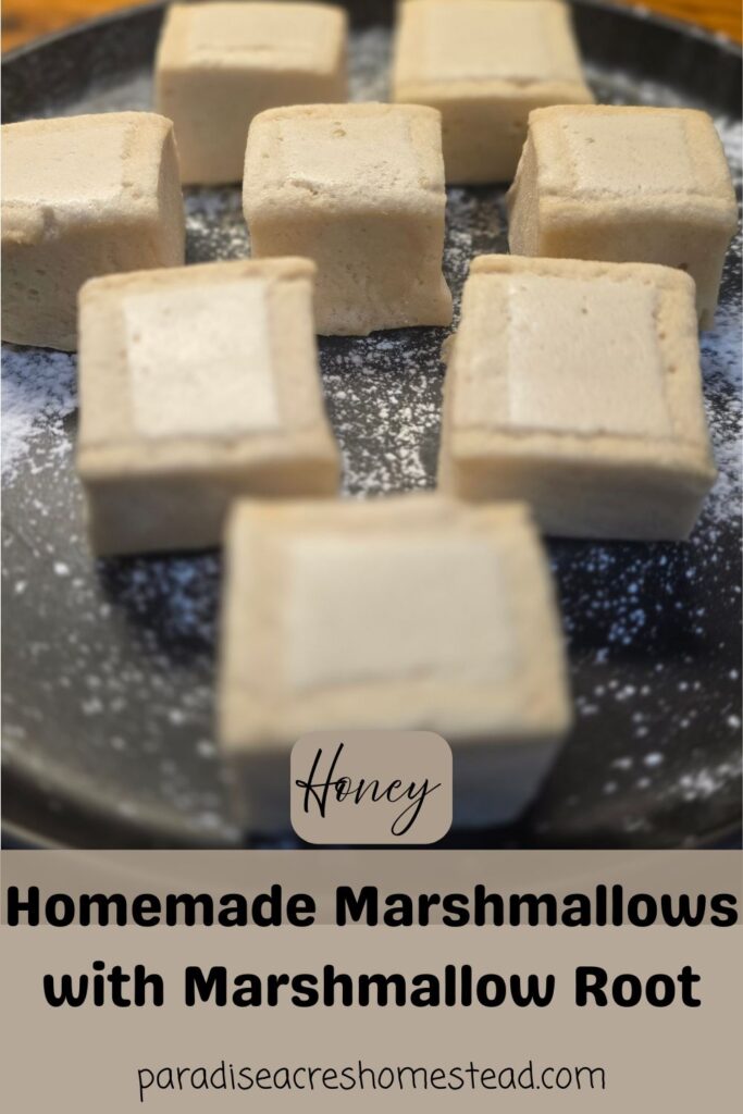 homemade marshmallows with marshmallow root pin image
