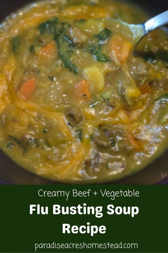 pin image flu busting creamy beef vegetable soup