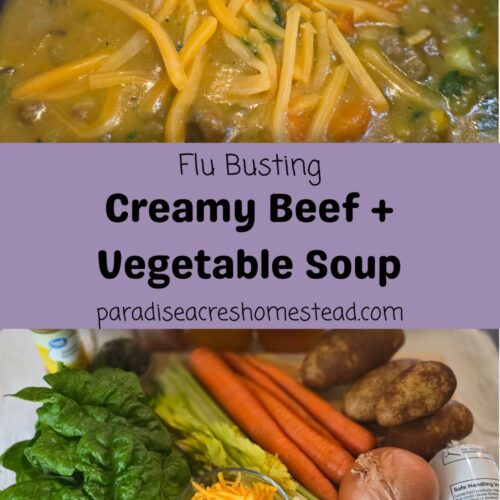 pin image flu busting creamy beef vegetable soup