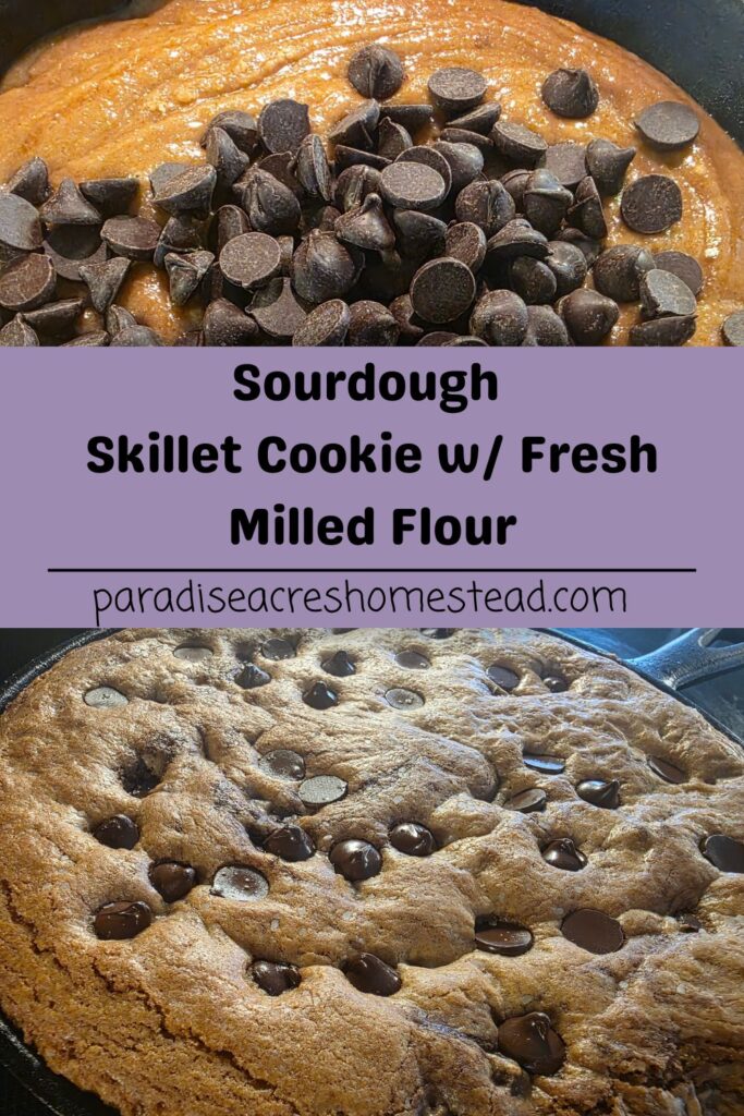 fresh milled skillet cookie pin