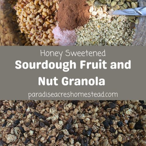 pin image for honey sweetened sourdough fruit and nut granola