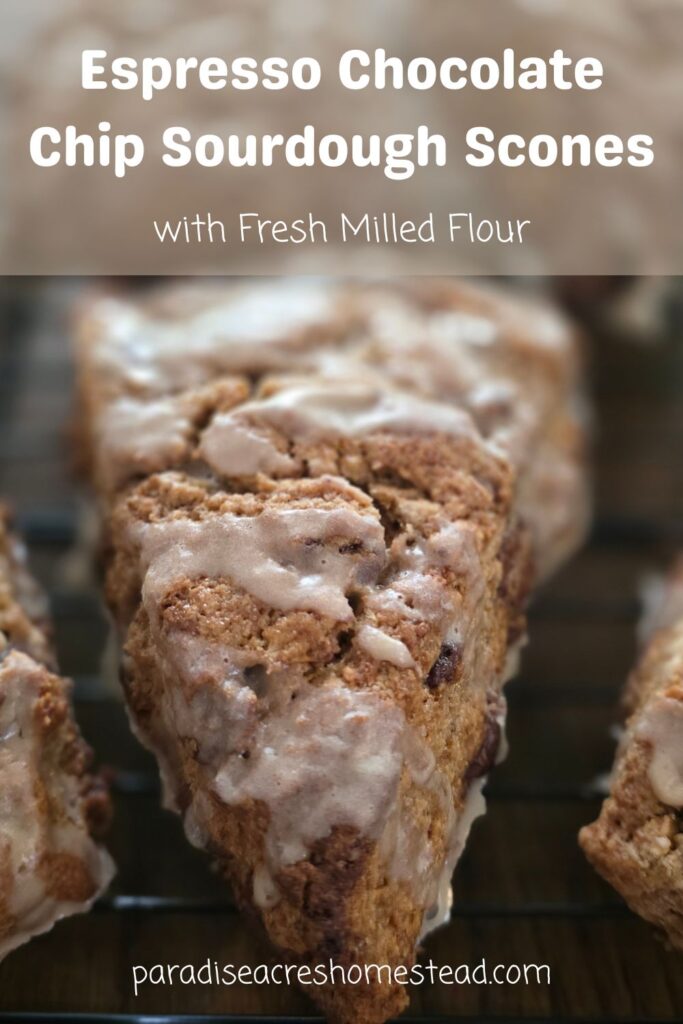 pin image for espresso chocolate chip scone
