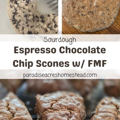 pin image for espresso chocolate chip sourdough scone w/ FMF