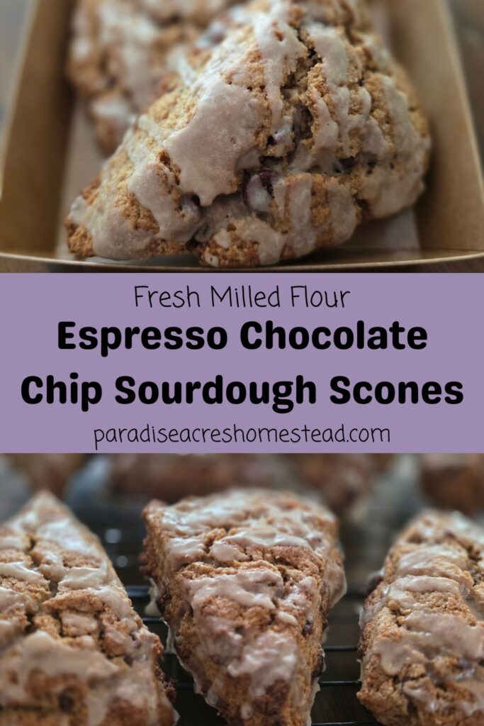 pin image for espresso chocolate chip scone w/ FMF