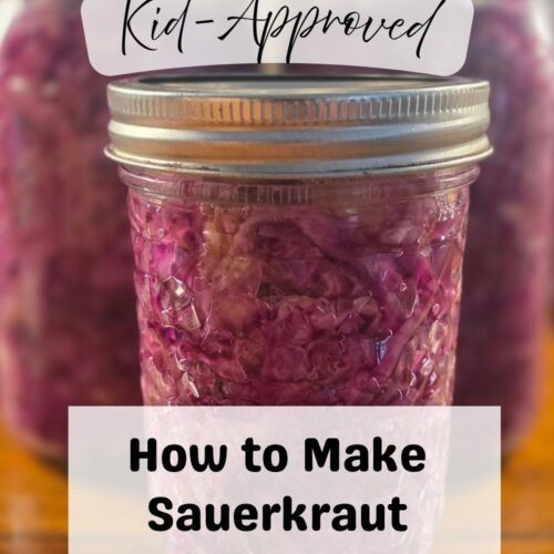 pin image for how to make sauerkraut
