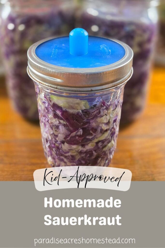 pin image for sauerkraut