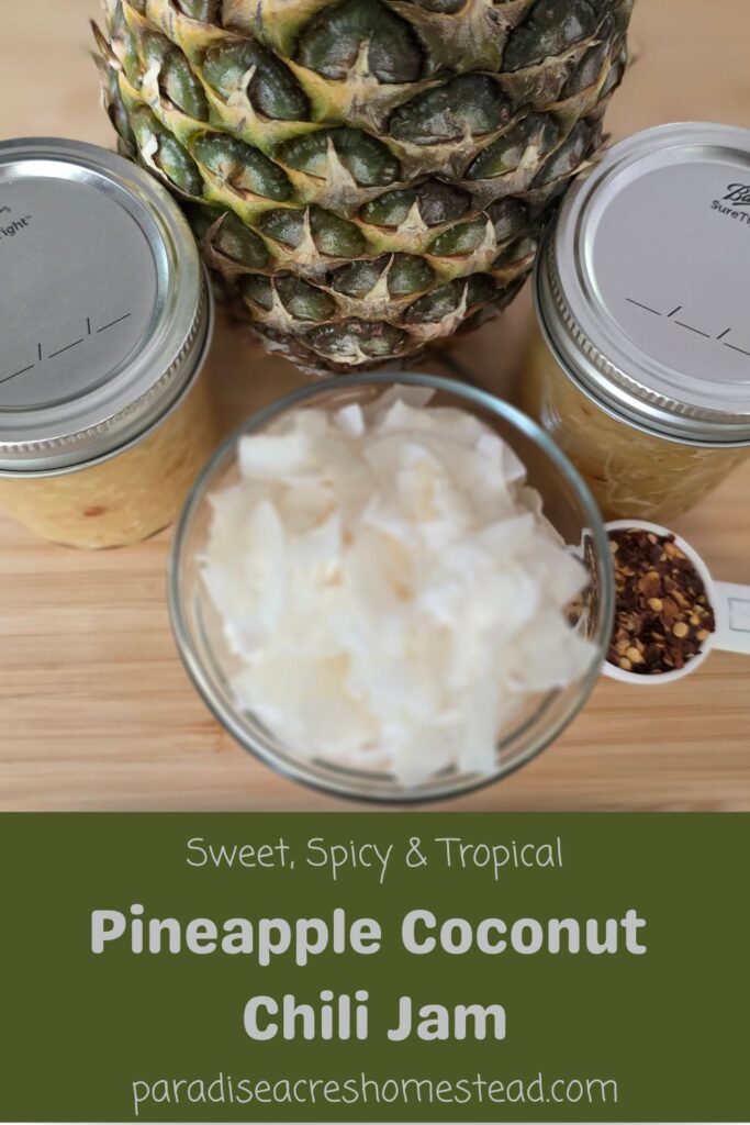 Pin Pineapple Coconut Chili Jam