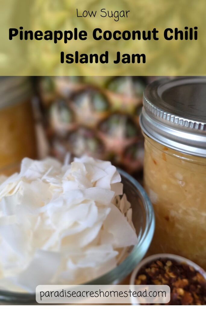 Pin Pineapple Coconut Chili Jam