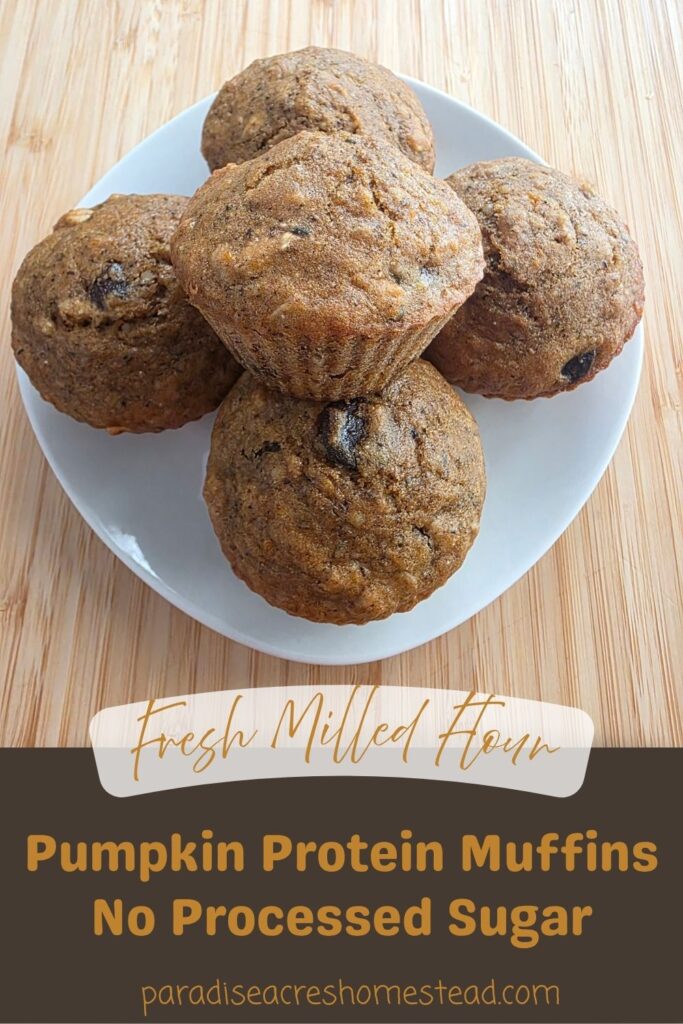 Fresh Milled Pumpkin Protein Muffins pin image