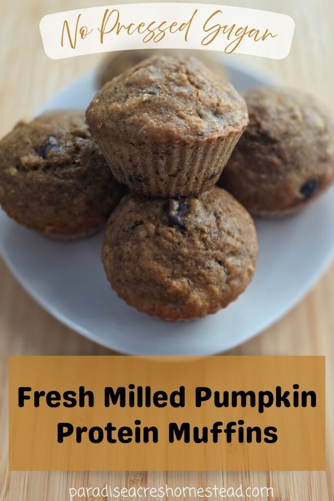 Pumpkin Protein Muffins pin image