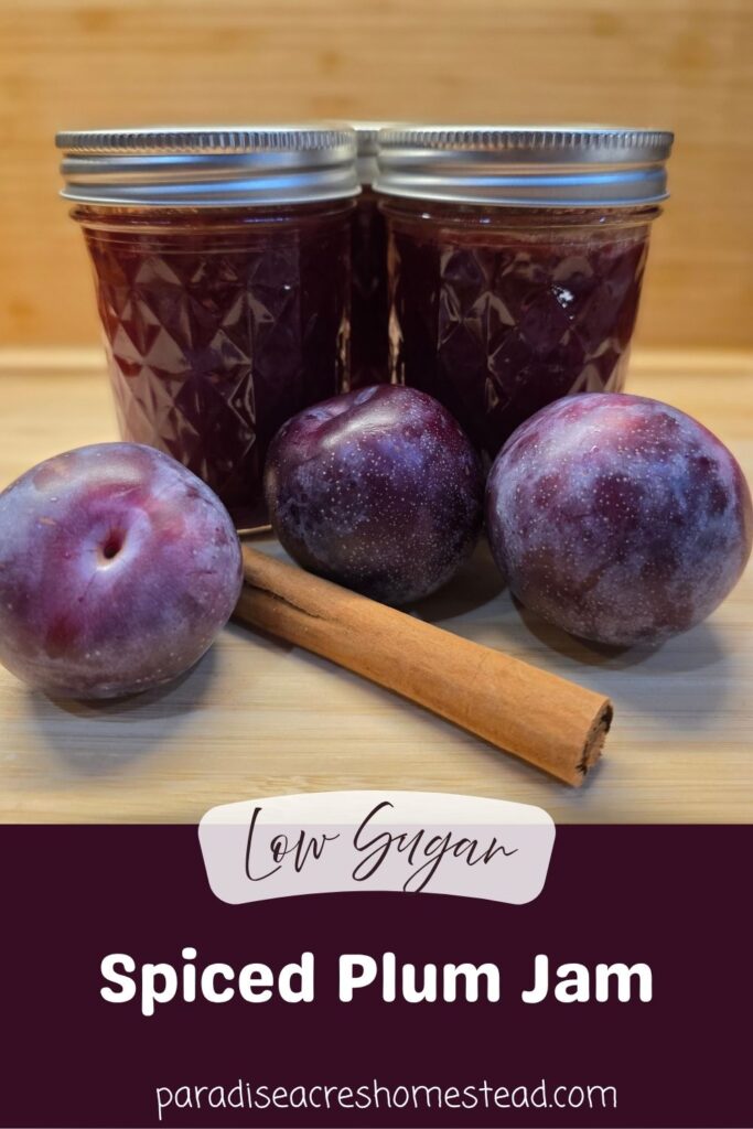 pin image for spiced plum jam