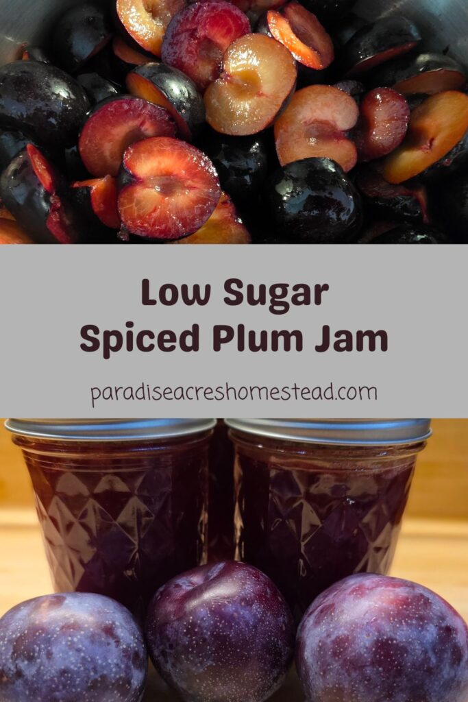 pin image for spiced plum jam
