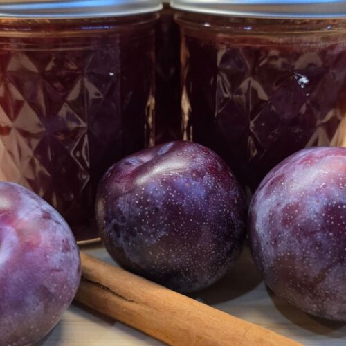 spiced plum jam on counter with fresh plums and cinnamon