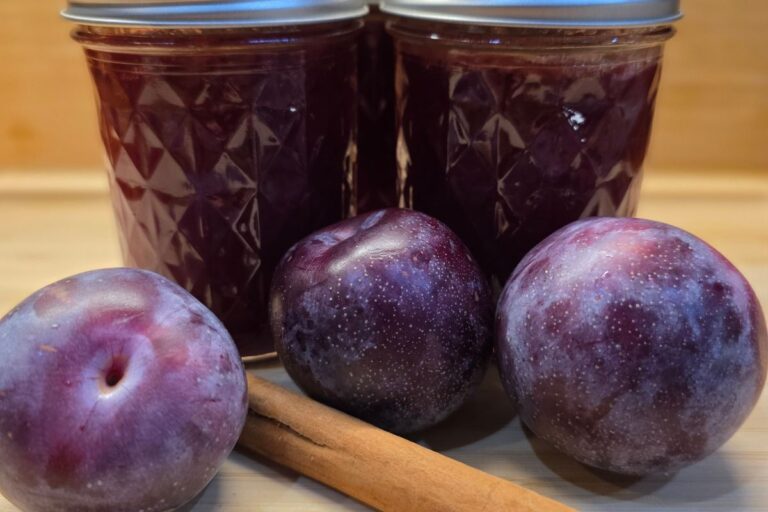 spiced plum jam on counter with fresh plums and cinnamon