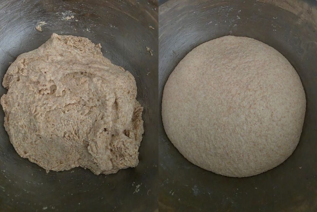 fresh milled sourdough bread dough
