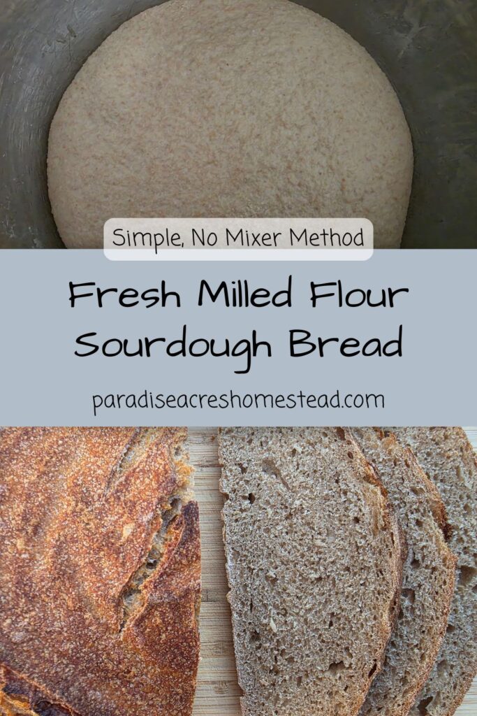 pin image for simple fresh milled sourdough bread