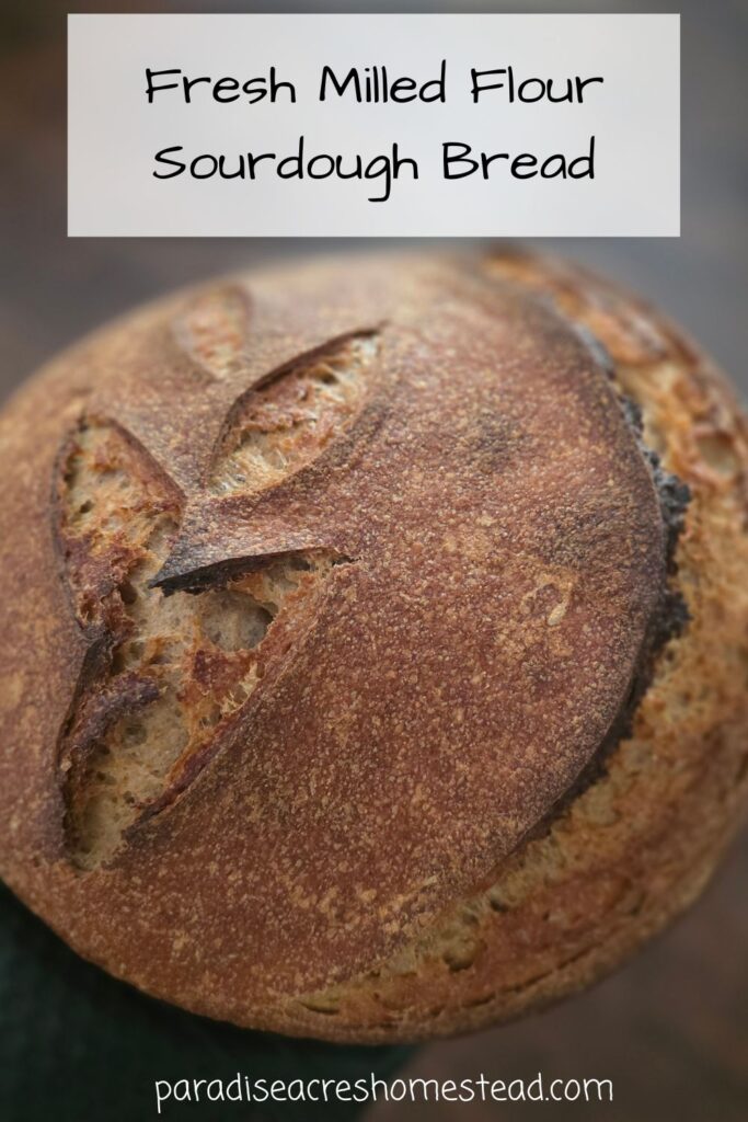 pin image for fresh milled sourdough bread