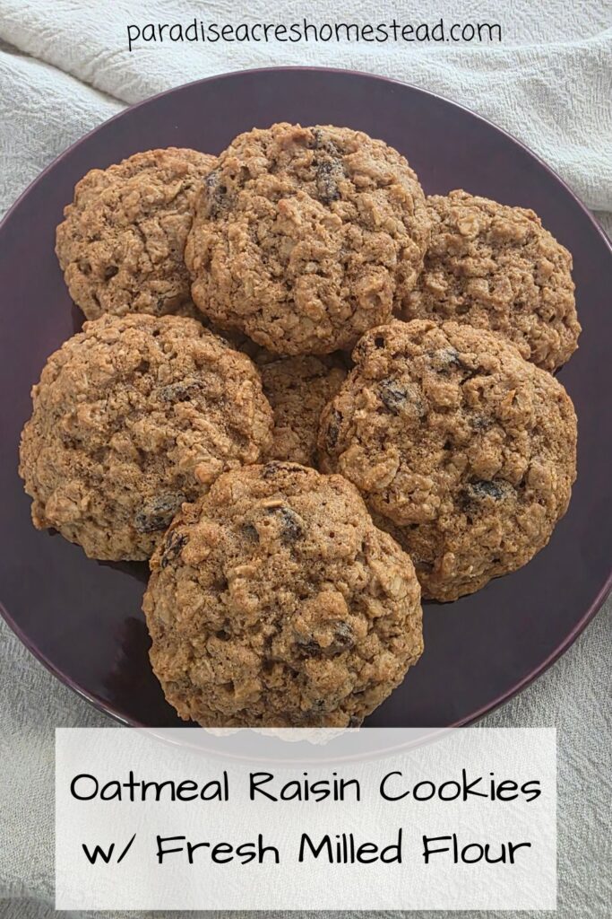 Pin_Oatmeal_Raisin_Fmf_Cookies
