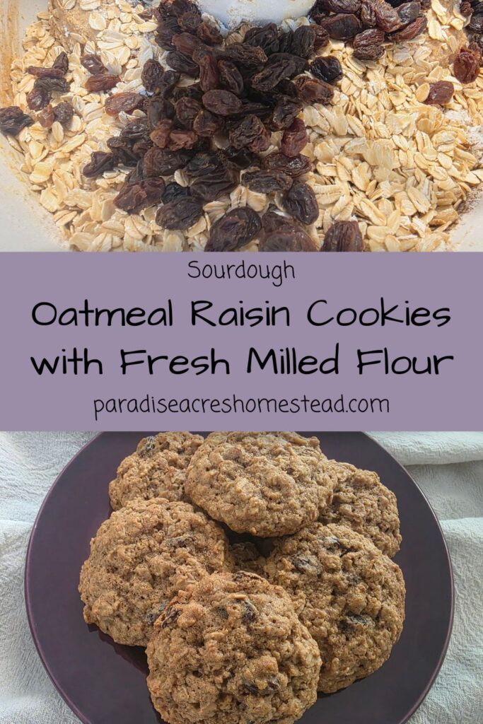 Pin_Sourdough_Oatmeal_Raisin_Cookies