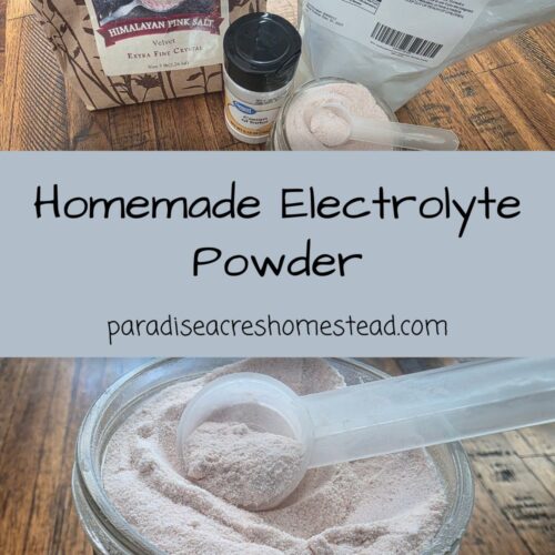 pin image for homemade electrolytes