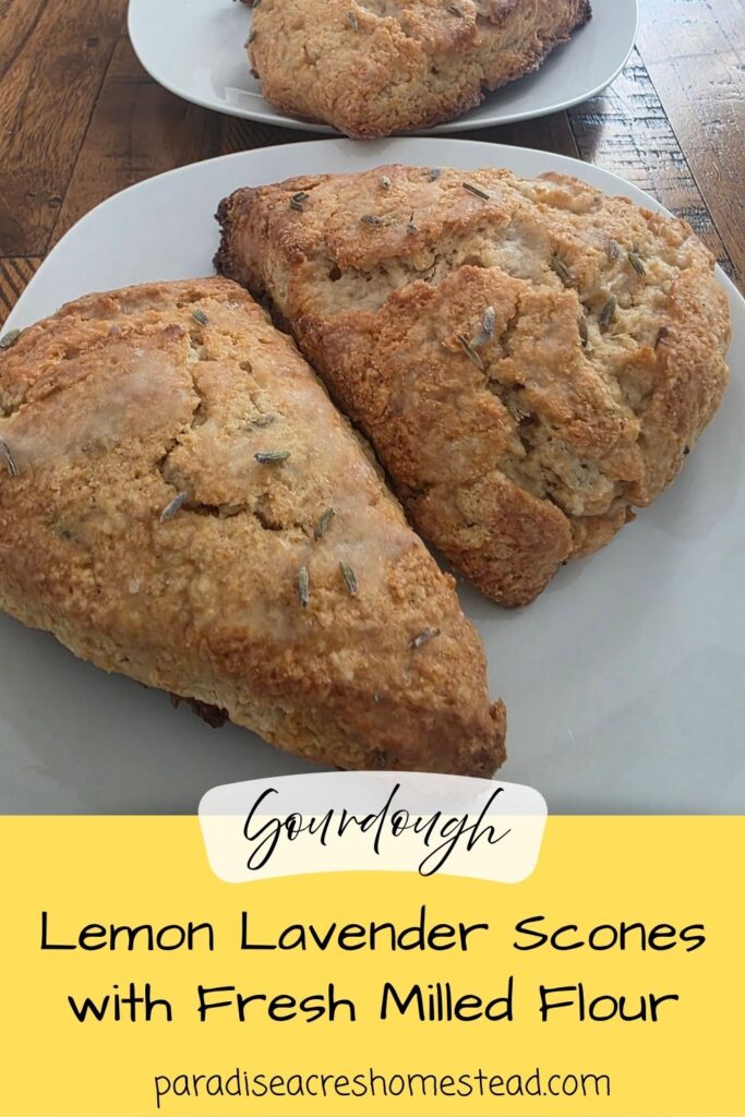 pin image for lemon lavender sourdough scones