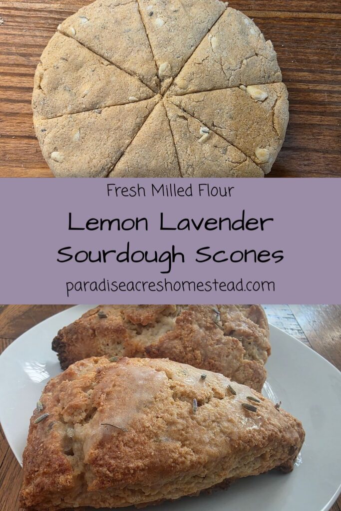 pin image for lemon lavender scones with fresh milled flour