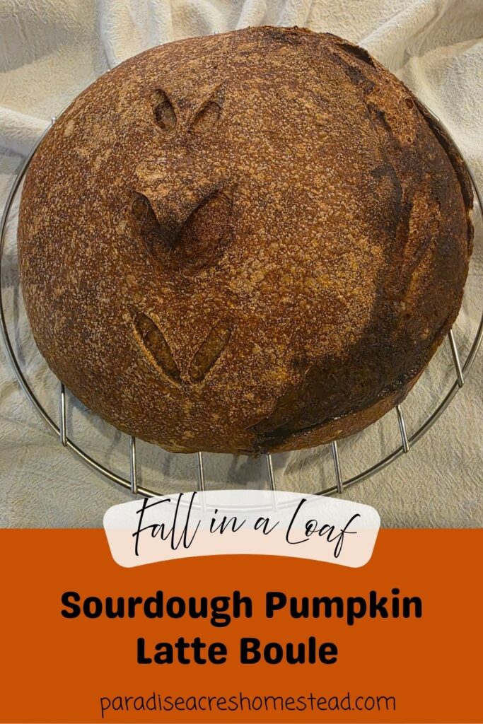 pin image for sourdough pumpkin latte boule with fmf