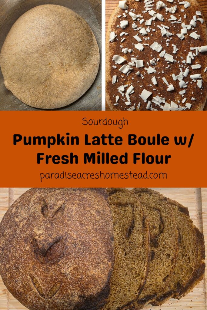 pin image for sourdough pumpkin latte boule with fmf