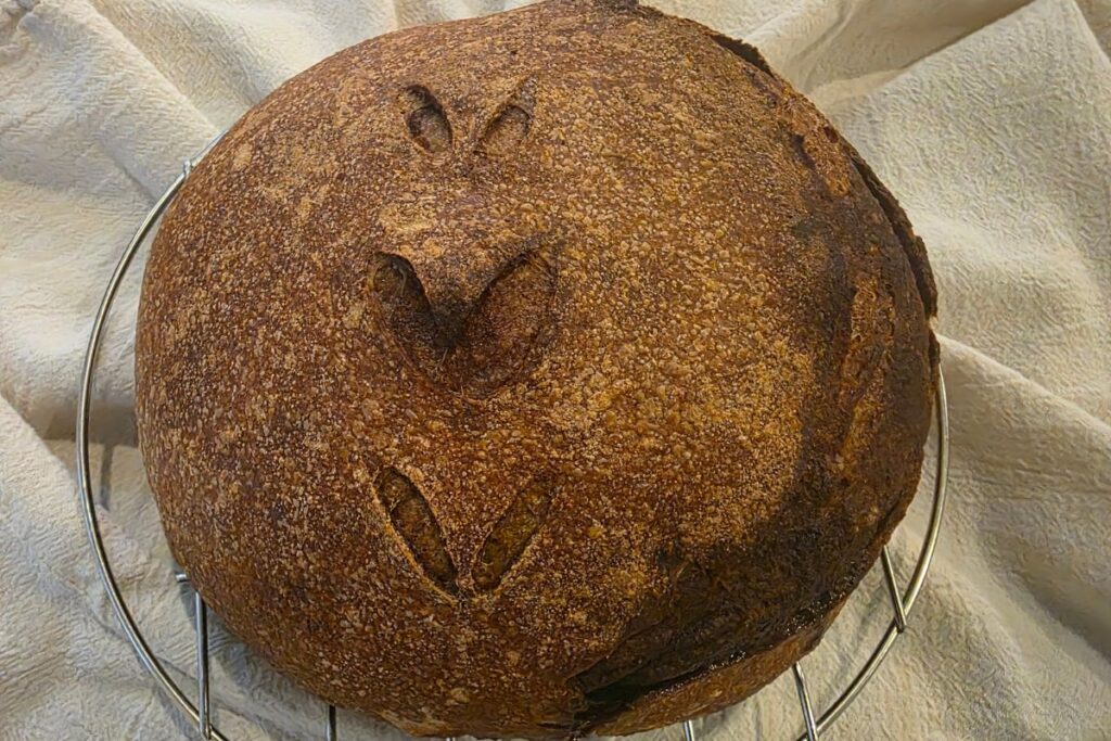 sourdough pumpkin latte boule