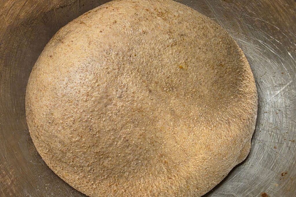 pumpkin latte bread dough